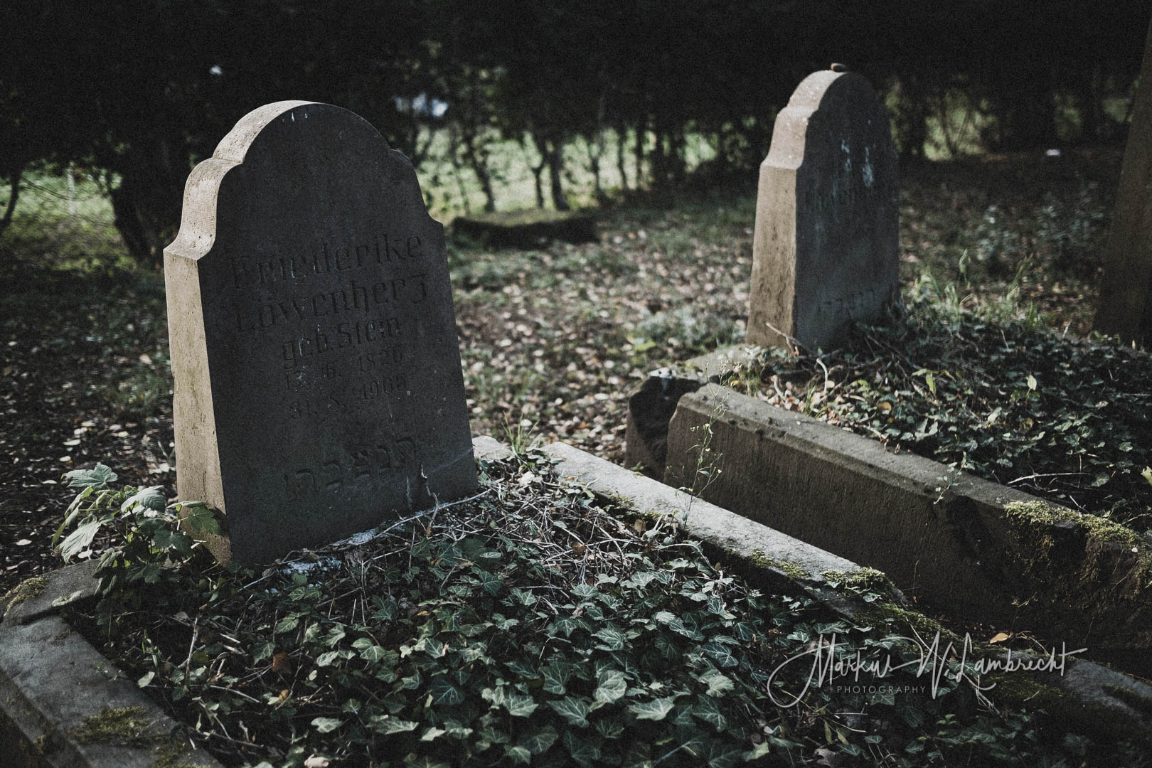 Lauenförde, Jüdischer Friedhof